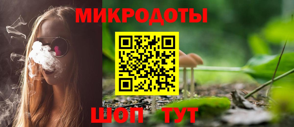Псилоцибиновые грибы Cubensis Новосибирск