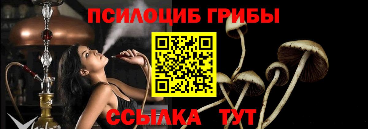 Псилоцибиновые грибы Psilocybine cubensis  Вход с VPN  закладка  Галлюциногенные грибы GOLDEN TEACHER  Новосибирск 